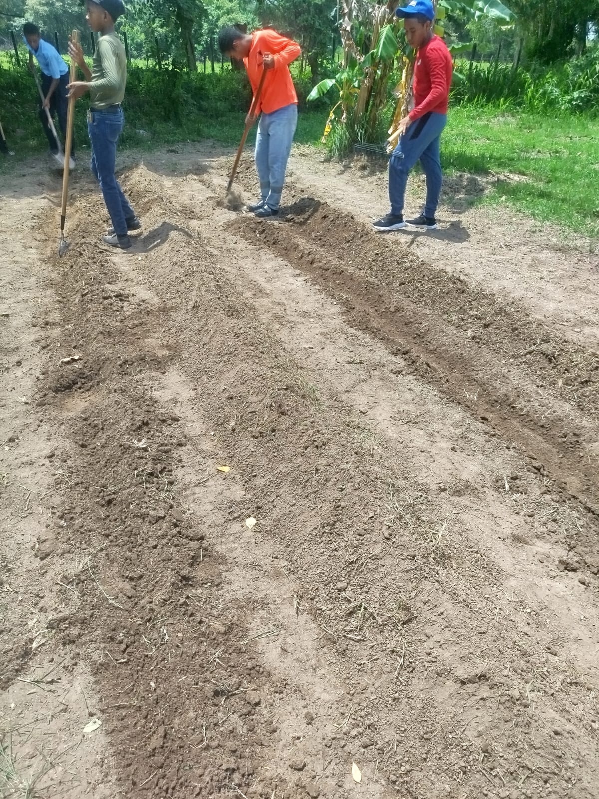 Huerto escolar fortalece el aprendizaje práctico y la educación ambiental de estudiantes del IPHE Antón