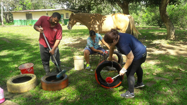 IPHE proyecta activar caminos sensoriales en ambientes ecológicos