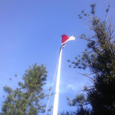 IMG-20161104-WA0010-037b39d676fcede6c4ee562cd2d67a27.jpg
