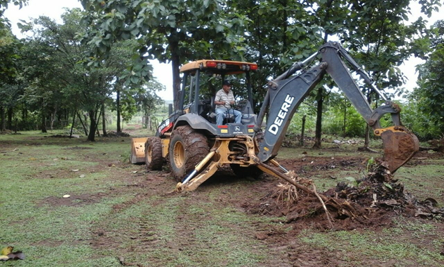 IPHE, Mi Ambiente y padres de familia reforestarán 5 hectáreas