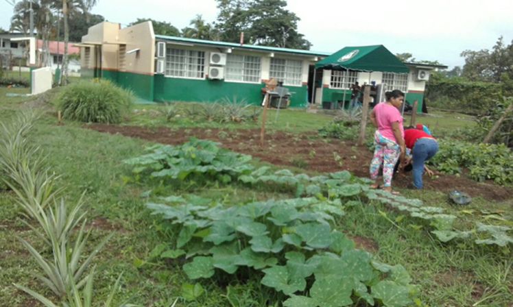 01 Blog