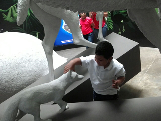Estudiantes del módulo de Chepo del IPHE recorren Museo de la Biodiversidad