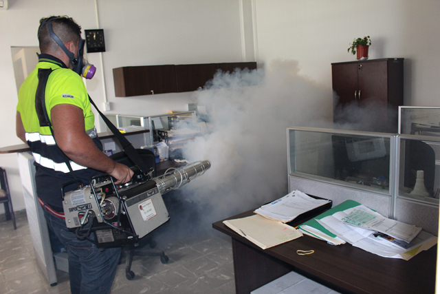 Buscan reducir la amenaza del mosquito Aedes aegypti 
