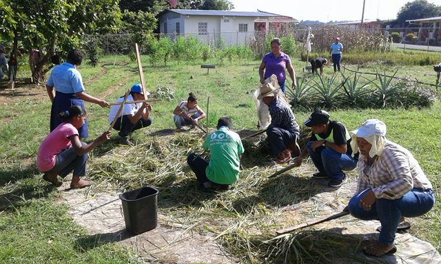 IPHE de Chepo incentiva los huertos escolares