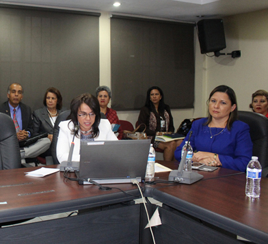 IPHE sustenta su presupuesto para el periodo fiscal 2016