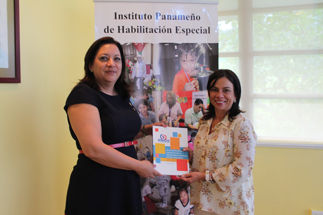 IPHE recibe Plan Estratégico Nacional de Senadis