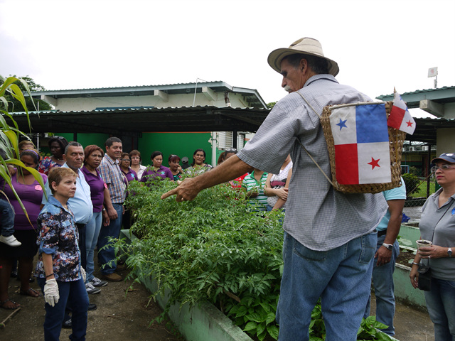 Capacitan sobre siembra de huertos escolares