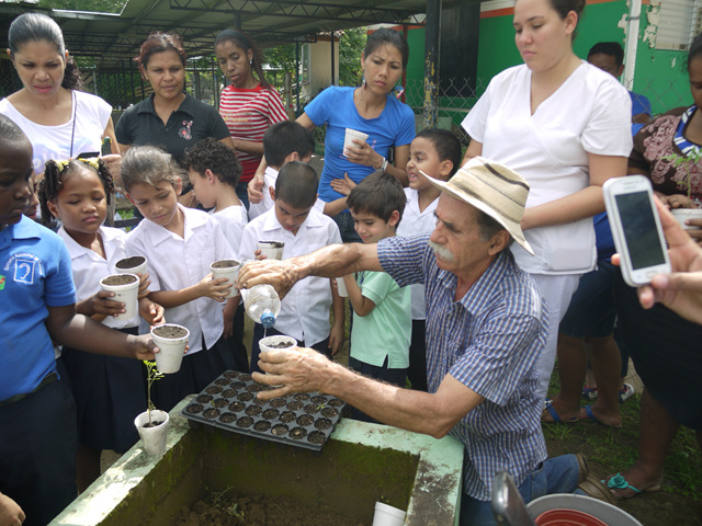 Estudiantes aprender a sembrar plantas