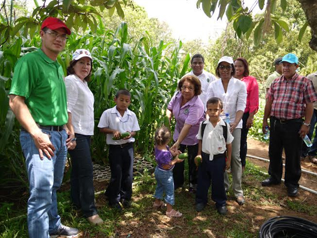 Familia y estudiantes cosechan en sus huertos