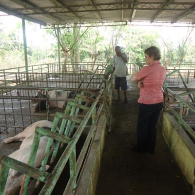 granja-1-ad5f43efa71f1112fde54fdde8e0e84c.jpg