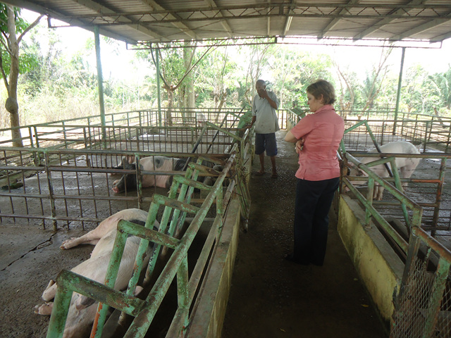 Subdirectora general visita "Granja de Chilibre"