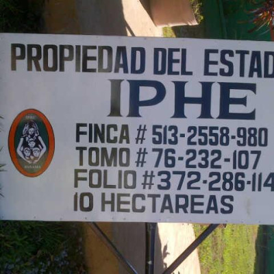 2-6-588549e466e66220d1ef4068a462552e.jpg