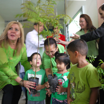 verde-9-7bc38491ae9c0c4fb80c4f876ef4b18d.jpg