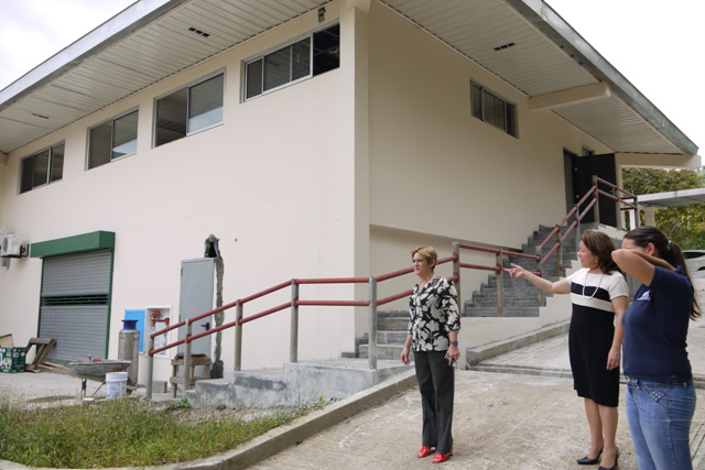 Avances en construcción del módulo de Parálisis Cerebral en Clayton