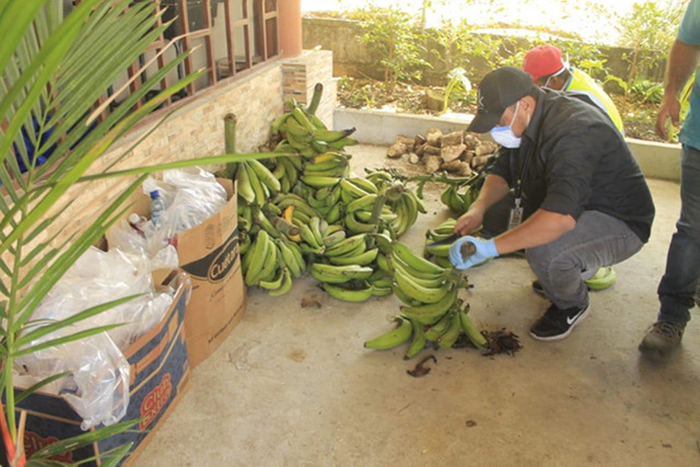 Extensión del IPHE en Chiriquí dona alimentos a la Alcaldía de Boquete