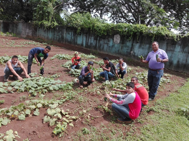 Estudiantes del IPHE Panamá Oeste aprenden técnicas de granjas ecológicas
