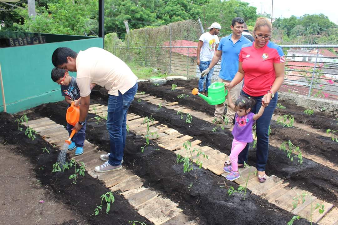 Modelo Educativo a través del Enfoque Ecológico Funcional: Estrategia educativa para una educación de calidad