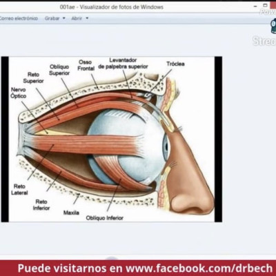 15c06a4c-2e09-4758-a949-7d162ce51339-a3a9cc92f4a7fd5d213ac5d56f848dfc.jpg