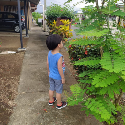 6d79119c-6447-4b0b-93a3-a807486cca75-9b45a01e00fd7fa81ec481b12c2f566c.jpg