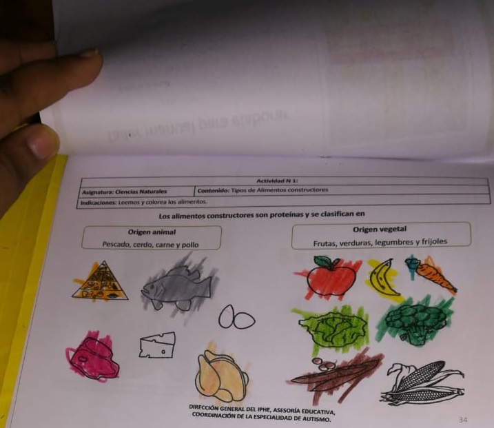 Escuela de Enseñanza Especial pone en práctica novedoso proyecto educativo 