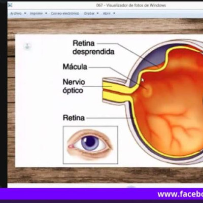 6a6db69d-3408-4218-9844-90dd823d5f5f-4695a7f39b1f3f8cf0c9462a84da9c3e.jpg