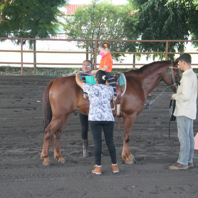 Equinoterapia