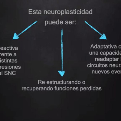 54d23398-caa8-4434-bafb-0e2dab167630-0a560950b9bca521e11d5b33b31af3c3.jpg