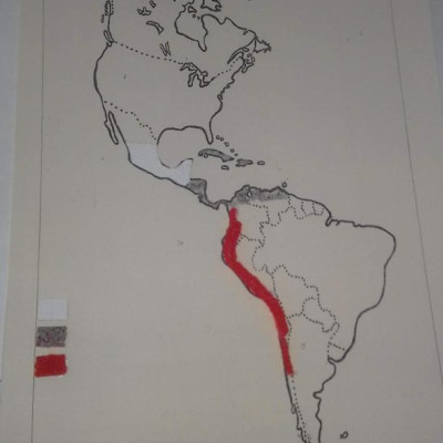 c1f84fb8-08ad-4de2-8029-8922ae4a6151-69c802d1d6595207bbee154e771decf0.jpg