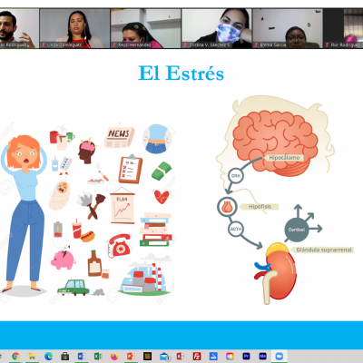 Captura-de-pantalla-894-e219f1f9f460bbf45927a99ab186d56b.png