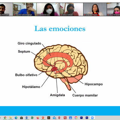 Captura-de-pantalla-896-e219f1f9f460bbf45927a99ab186d56b.png