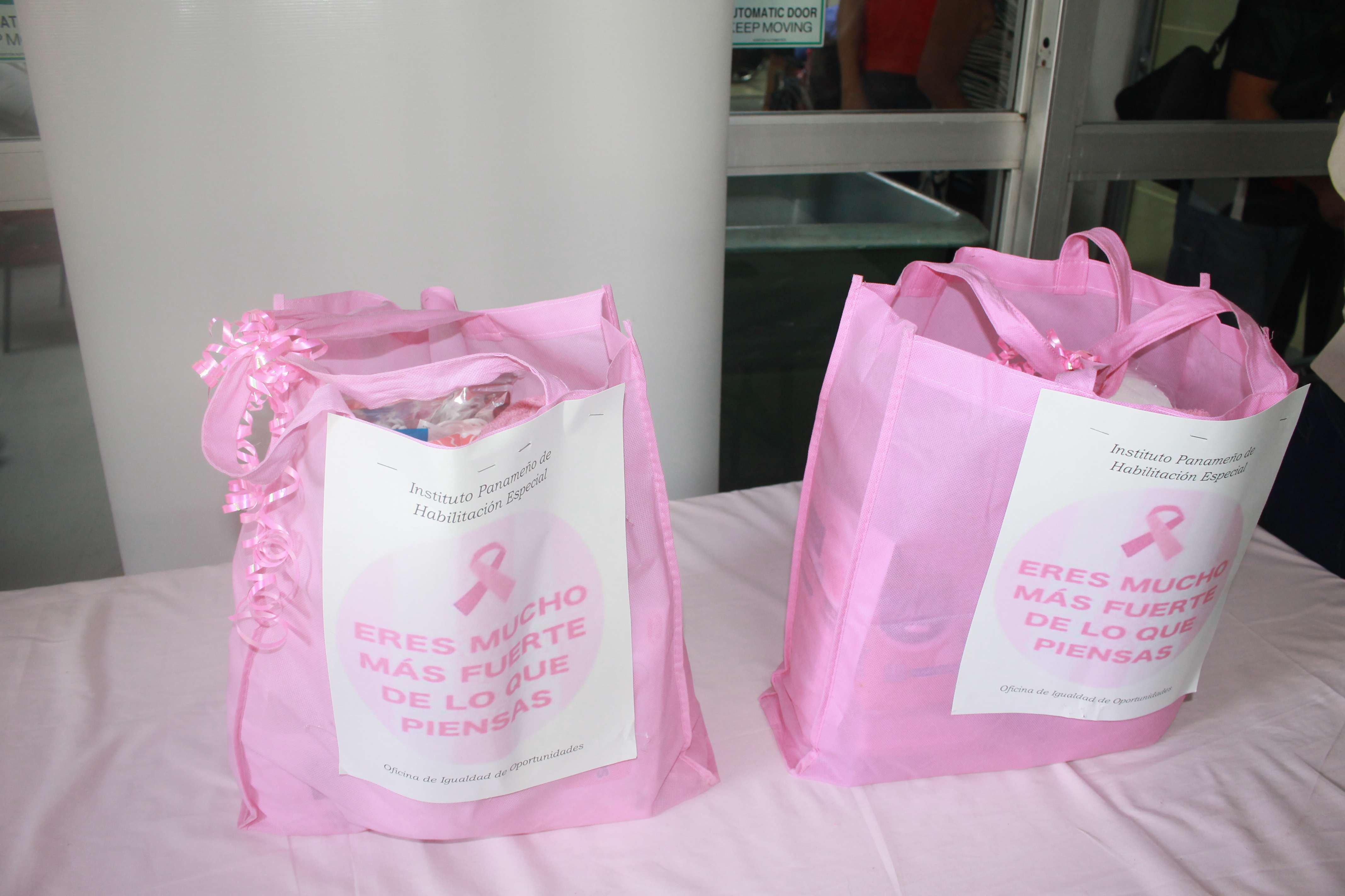 Mujeres con discapacidad y sobrevivientes de cáncer de mama reciben bolsas  