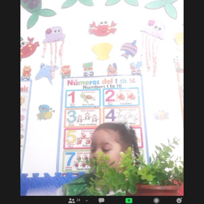 9baba5e2-807e-4a02-ae7f-8bb59f27454d-c04dad12808c219cc9fcaa319f707175.jpg
