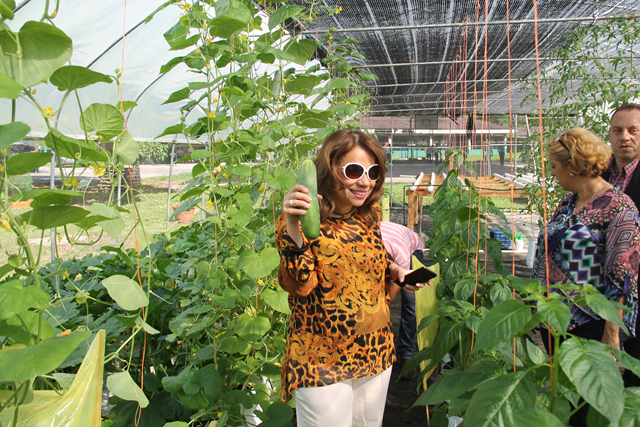 Directora recorre proyecto de Aprovechamiento de Recursos Orgánicos de la EVE