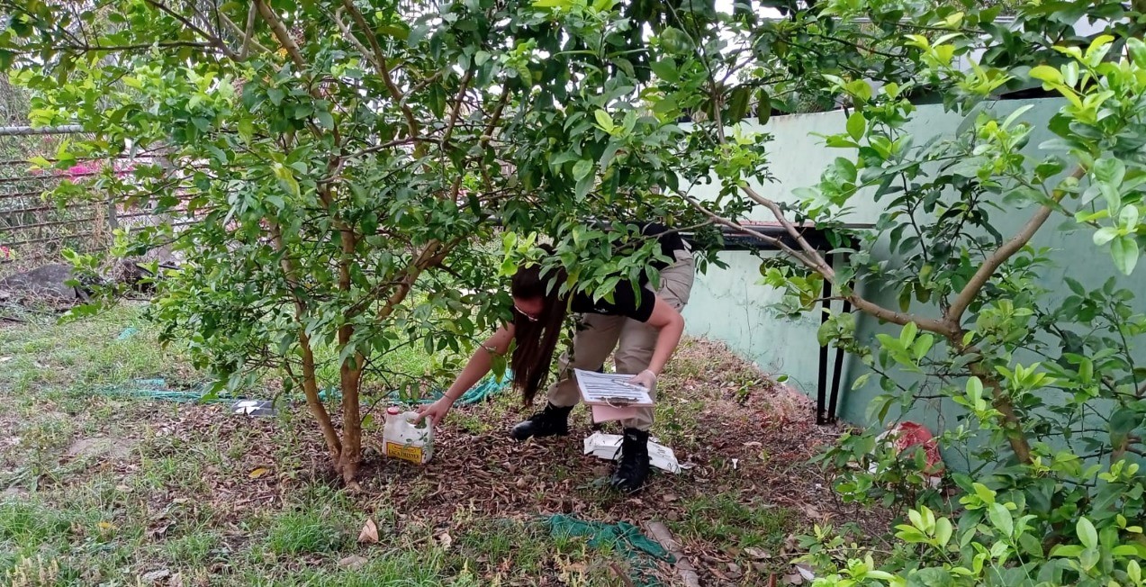 Realizan inspección de control para la prevención de roedores 