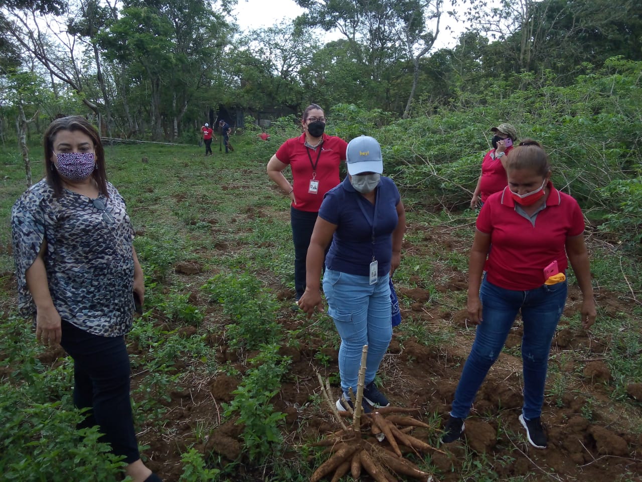 Servidores públicos del IPHE participan en taller para fomentar la higiene mental  