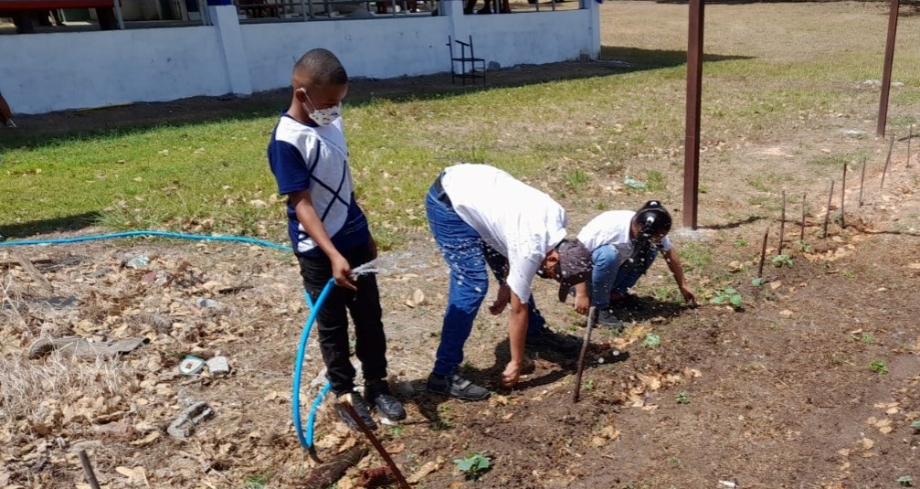 Estudiantes del IPHE de Antón realizan actividades basadas en un enfoque ecológico funcional