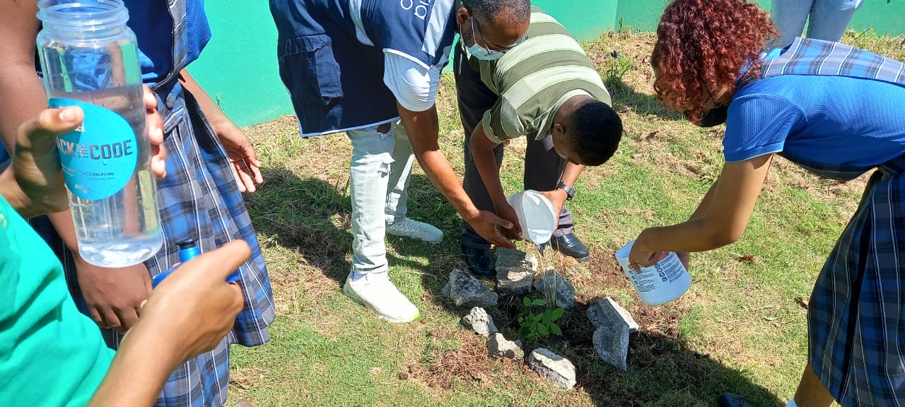 Defensoría del Pueblo participa de plantación de Guayacanes en la Extensión de Colón