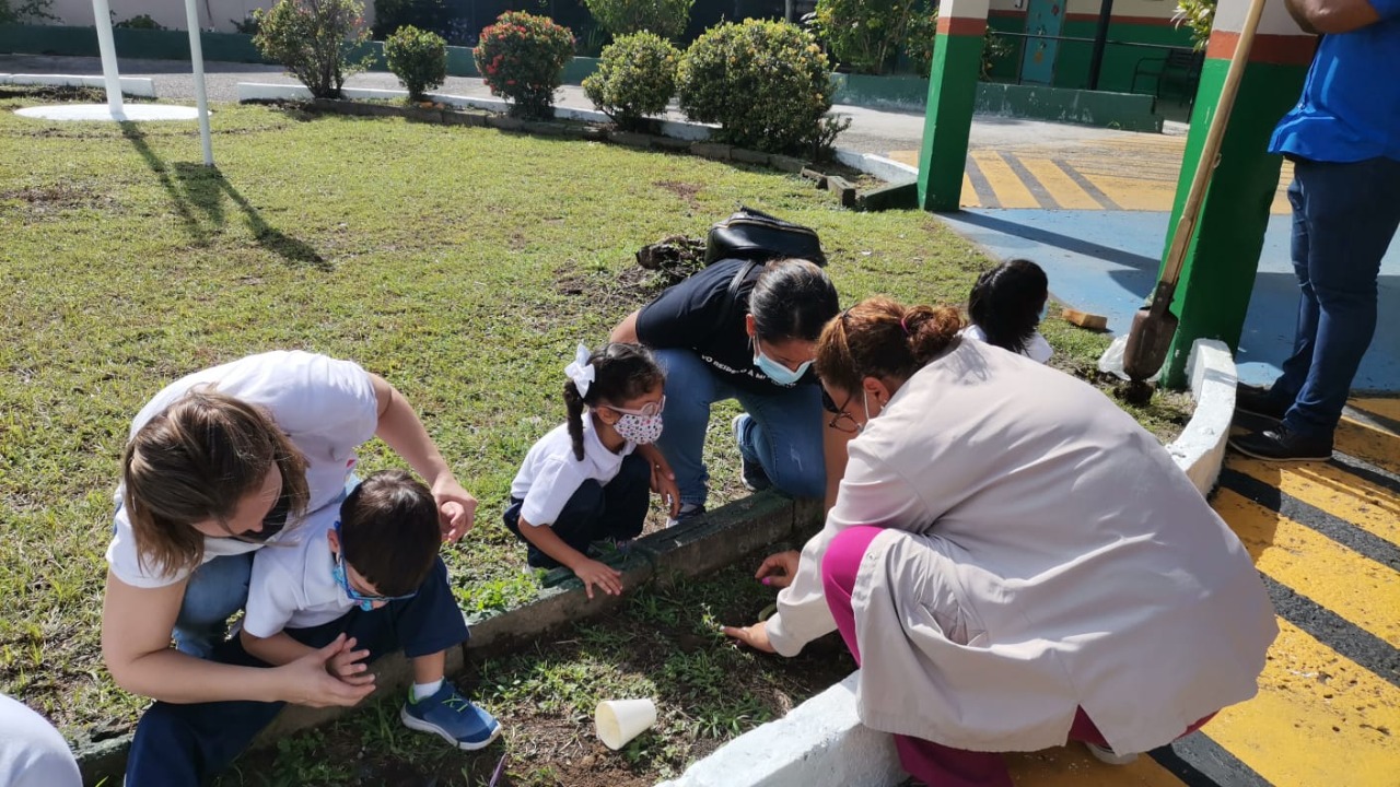 Alumnos de la Escuela de Nacional de Ciegos participan del embellecimiento del plantel