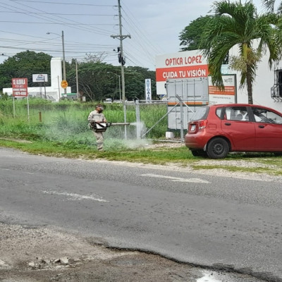 482279e1-5ef4-40b7-9d88-f451a6f67abf-b767b3ff9994bc54203d658a024adc11.jpg