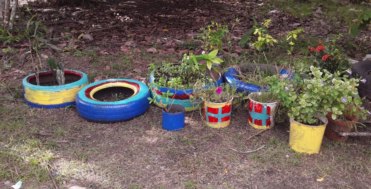 Padres participan en proyecto de huertos