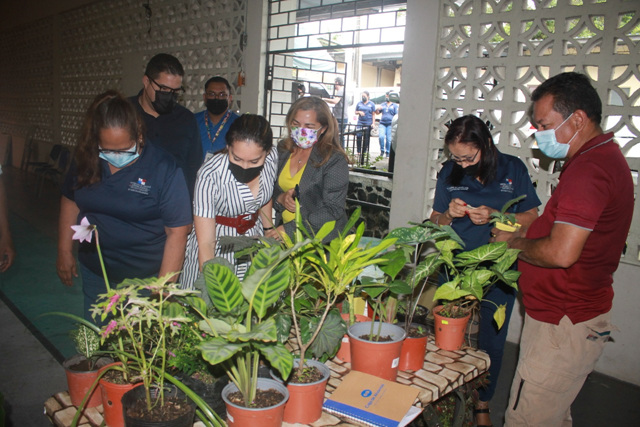 Promueven servicios entre colaboradores del IPHE