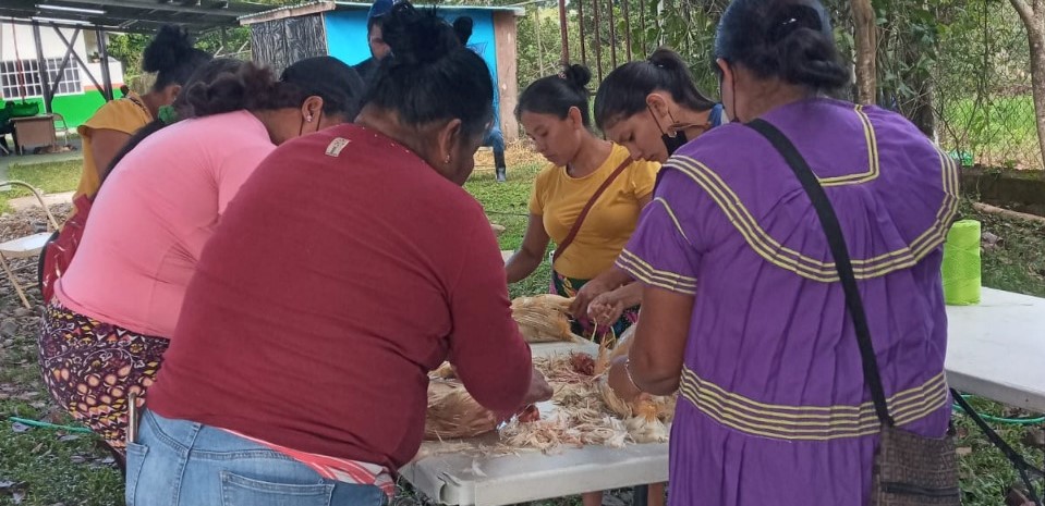Estudiantes de Chepo aprenden procesamiento de carne aviar  