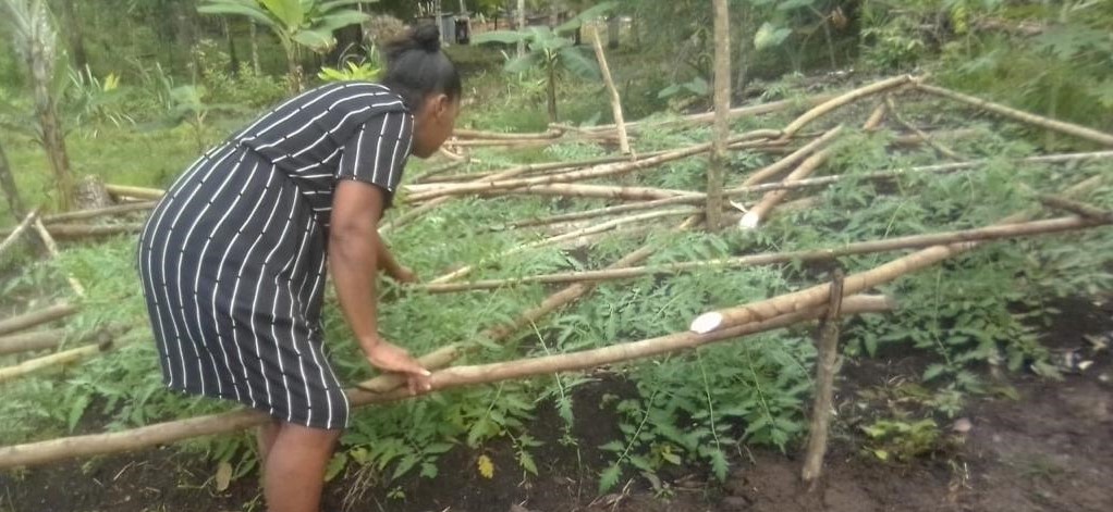 Familias de Darién participan en proyecto de huertos en contenedores