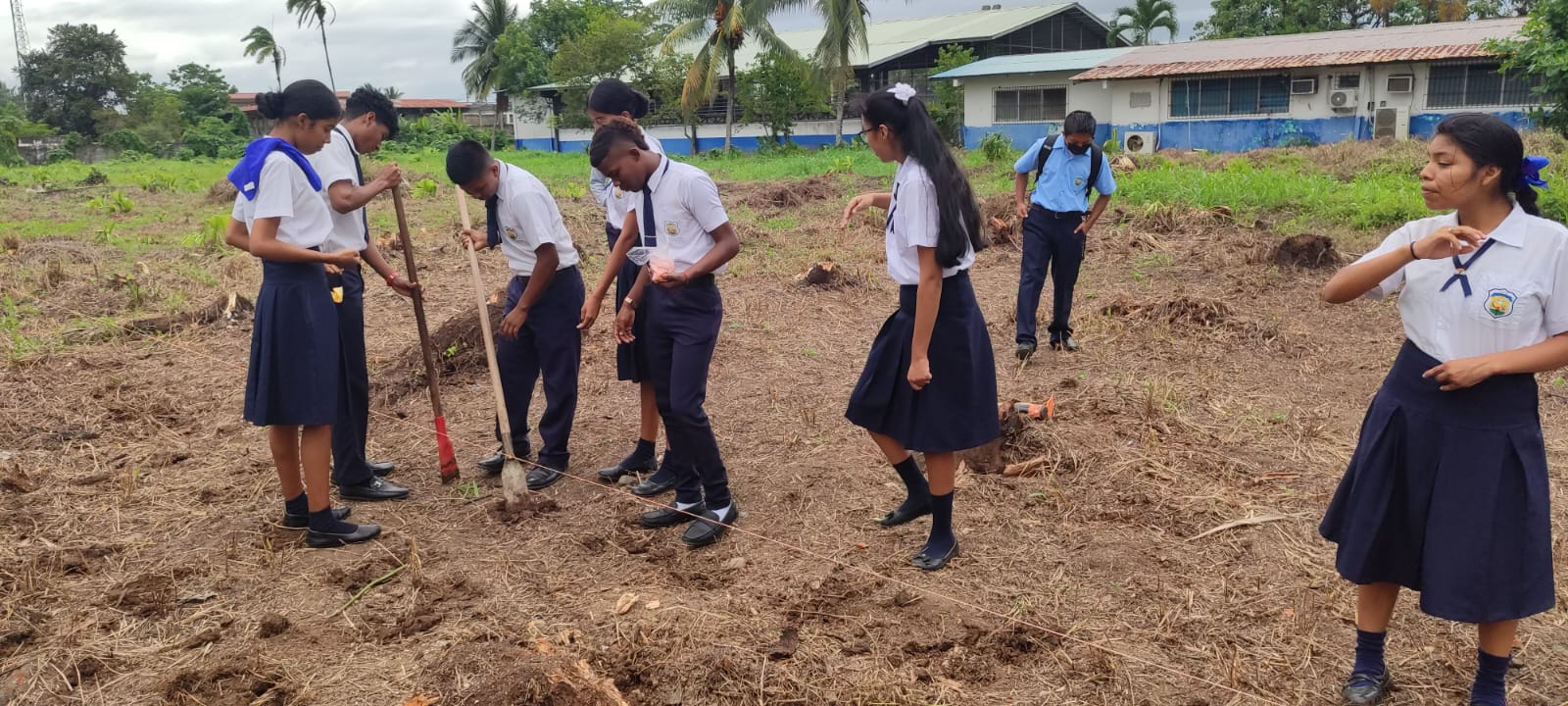 Estudiantes en Bocas del Toro realizan siembra de maíz