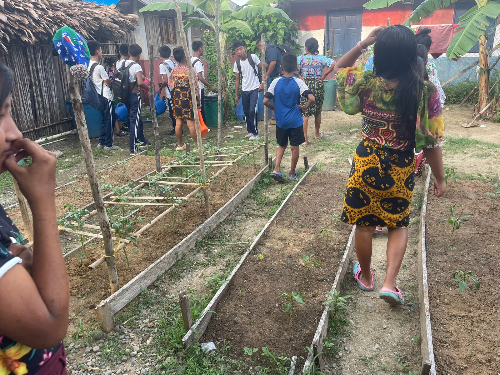 En Guna Yala madres aprenden a desarrollar proyecto de sostenibilidad y desarrollo integral
