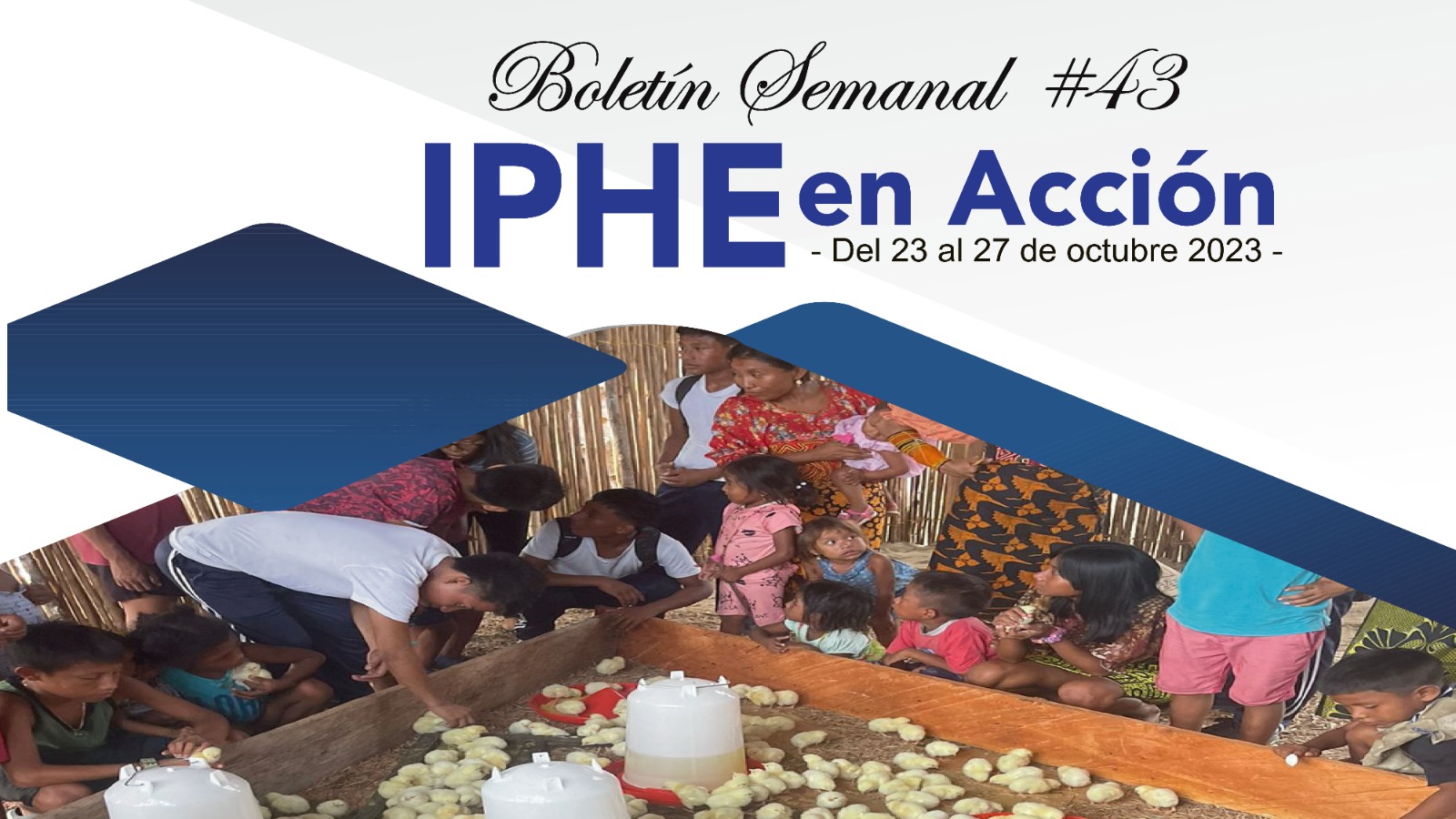 Boletín Semanal #43 IPHE en Acción