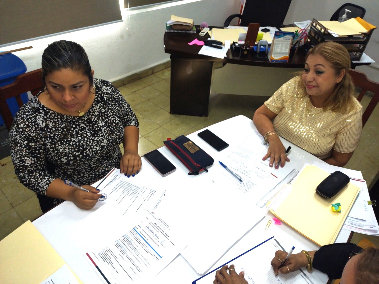 ENSOR realiza revisión de documentos y planifican accionar del 2024