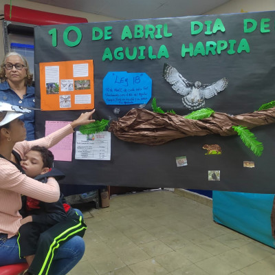 4b6de245-49ba-413d-a527-0642f395cf63-1712779931.jpg