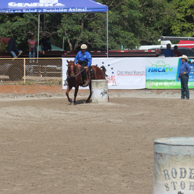 IMG_0272-251206864e66038b325f29a2e4b8df78.jpg