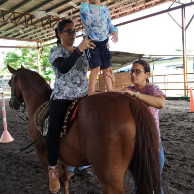 equino-iphe-chiriqui-1769632838.jpeg